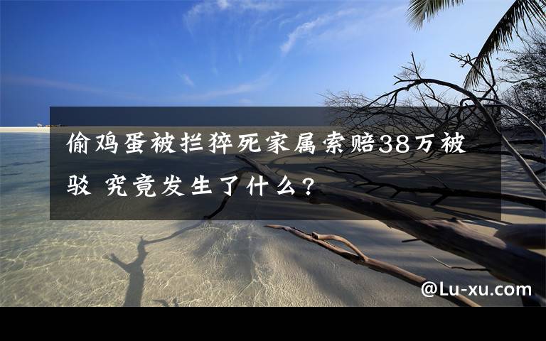 偷雞蛋被攔猝死家屬索賠38萬被駁 究竟發(fā)生了什么?