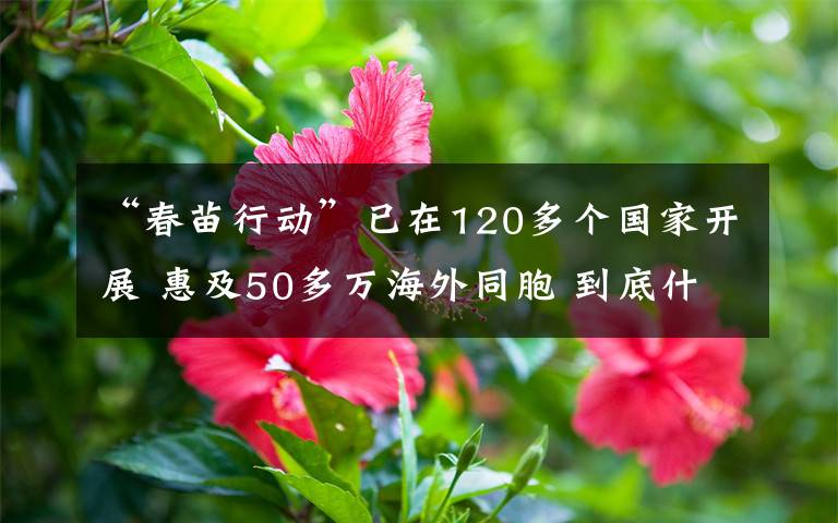 “春苗行動(dòng)”已在120多個(gè)國(guó)家開(kāi)展 惠及50多萬(wàn)海外同胞 到底什么情況呢？