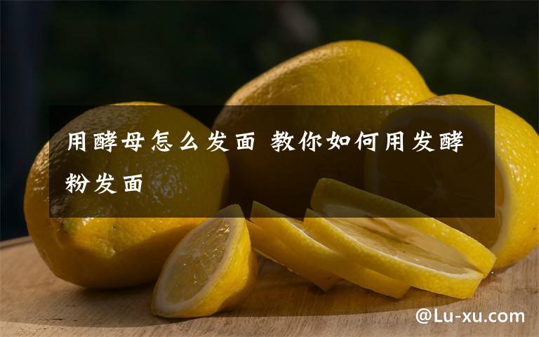 用酵母怎么發(fā)面 教你如何用發(fā)酵粉發(fā)面