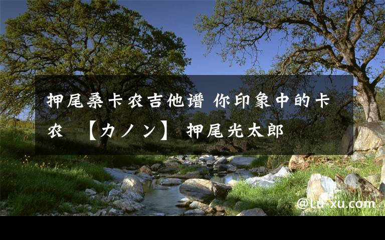 押尾?？ㄞr(nóng)吉他譜 你印象中的卡農(nóng)  【カノン】 押尾光太郎