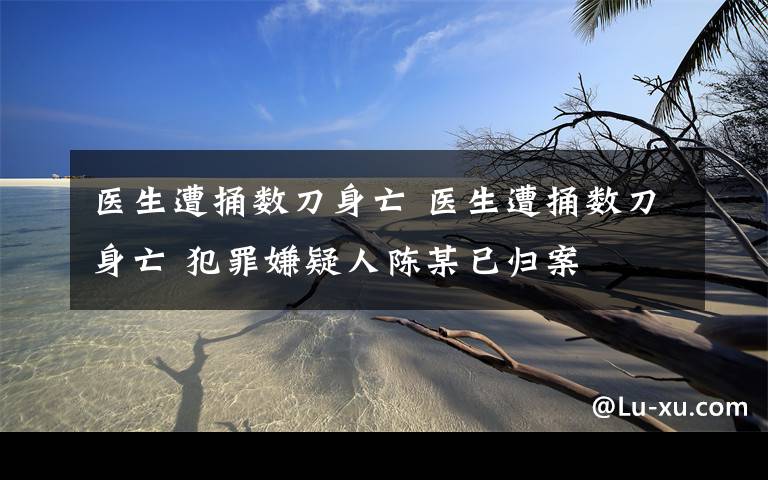 醫(yī)生遭捅數(shù)刀身亡 醫(yī)生遭捅數(shù)刀身亡 犯罪嫌疑人陳某已歸案