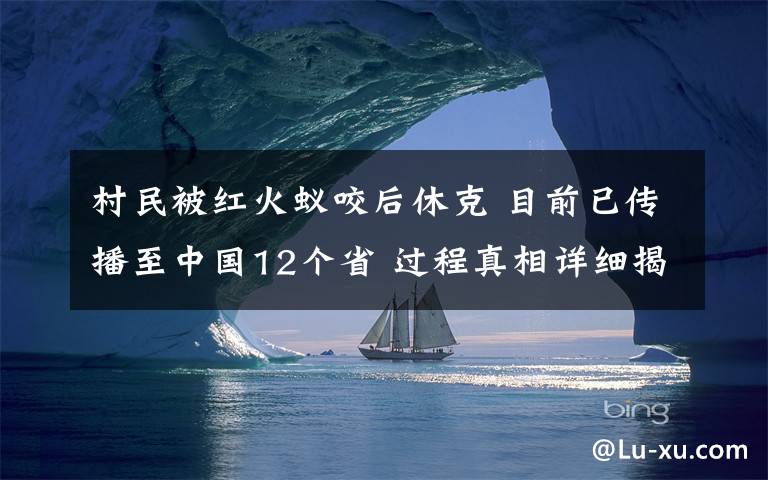 村民被紅火蟻咬后休克 目前已傳播至中國12個省 過程真相詳細揭秘！