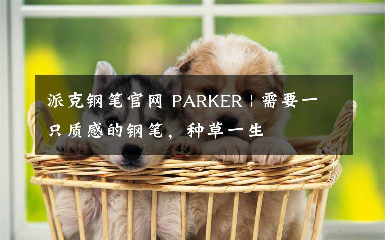 派克鋼筆官網(wǎng) PARKER | 需要一只質(zhì)感的鋼筆，種草一生