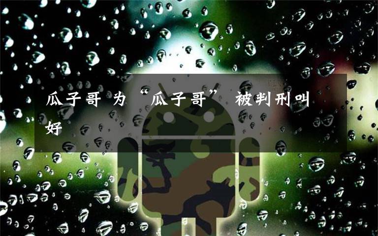 瓜子哥 為“瓜子哥” 被判刑叫好