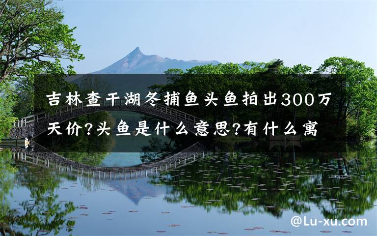 吉林查干湖冬捕魚頭魚拍出300萬天價?頭魚是什么意思?有什么寓意