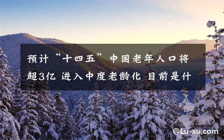 預計“十四五”中國老年人口將超3億 進入中度老齡化 目前是什么情況？