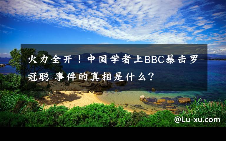 火力全開！中國學(xué)者上BBC暴擊羅冠聰 事件的真相是什么？