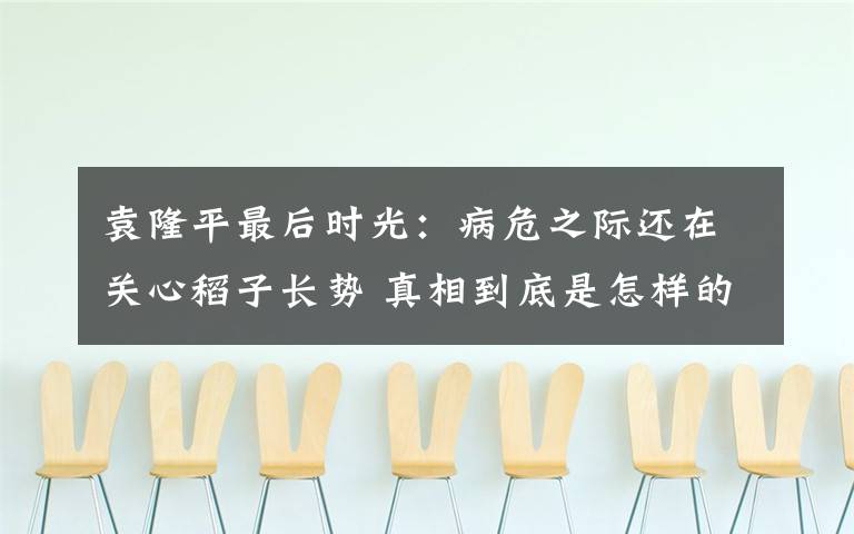 袁隆平最后時(shí)光：病危之際還在關(guān)心稻子長勢 真相到底是怎樣的？