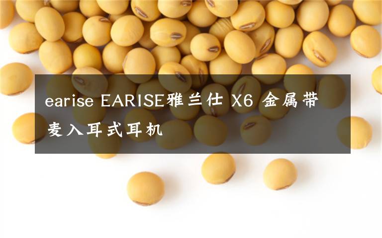 earise EARISE雅蘭仕 X6 金屬帶麥入耳式耳機