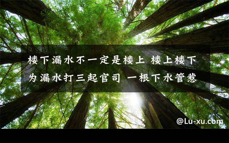 樓下漏水不一定是樓上 樓上樓下為漏水打三起官司 一根下水管惹禍雙方各有說法