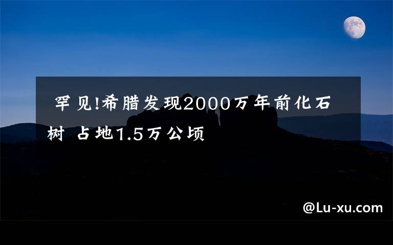  罕見!希臘發(fā)現(xiàn)2000萬年前化石樹 占地1.5萬公頃