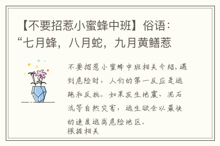 【不要招惹小蜜蜂中班】俗語：“七月蜂，八月蛇，九月黃鱔惹不得”，啥意思？有道理嗎？