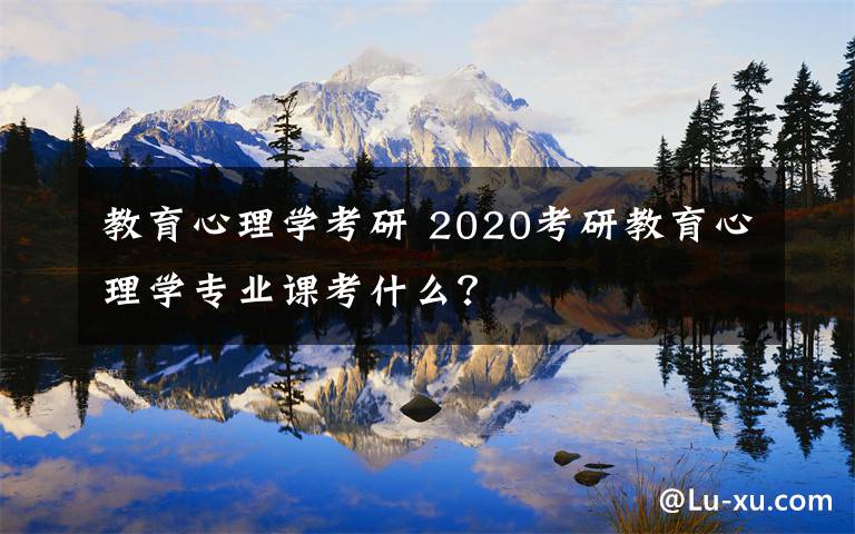 教育心理學考研 2020考研教育心理學專業(yè)課考什么？