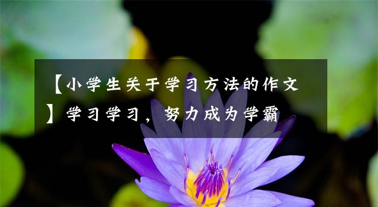 【小學生關于學習方法的作文】學習學習，努力成為學霸