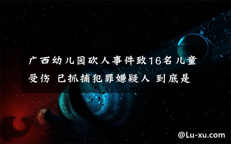 廣西幼兒園砍人事件致16名兒童受傷 已抓捕犯罪嫌疑人 到底是什么狀況？