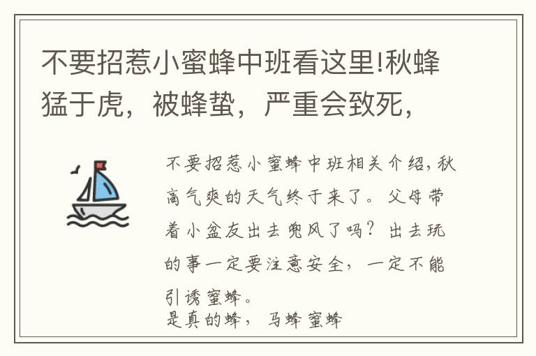 不要招惹小蜜蜂中班看這里!秋蜂猛于虎，被蜂蟄，嚴(yán)重會致死，學(xué)此篇，領(lǐng)會可救命