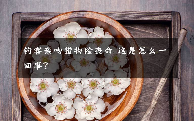 釣客親吻獵物險(xiǎn)喪命 這是怎么一回事？