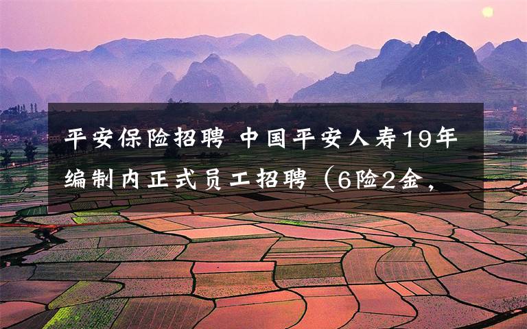 平安保險招聘 中國平安人壽19年編制內正式員工招聘（6險2金，13崗25人）