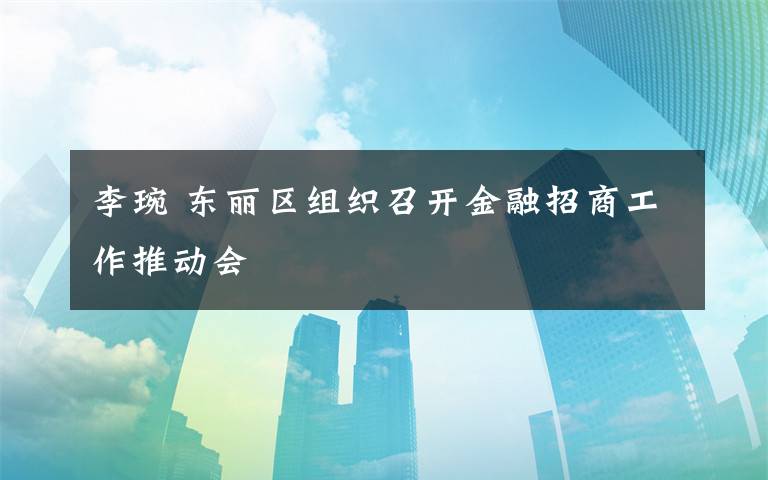 李琬 東麗區(qū)組織召開金融招商工作推動會