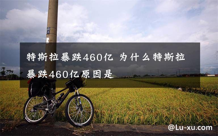 特斯拉暴跌460億 為什么特斯拉暴跌460億原因是