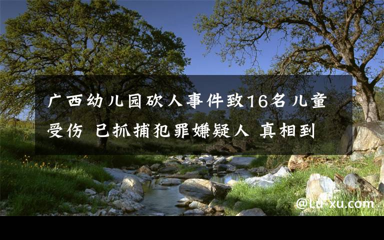 廣西幼兒園砍人事件致16名兒童受傷 已抓捕犯罪嫌疑人 真相到底是怎樣的？