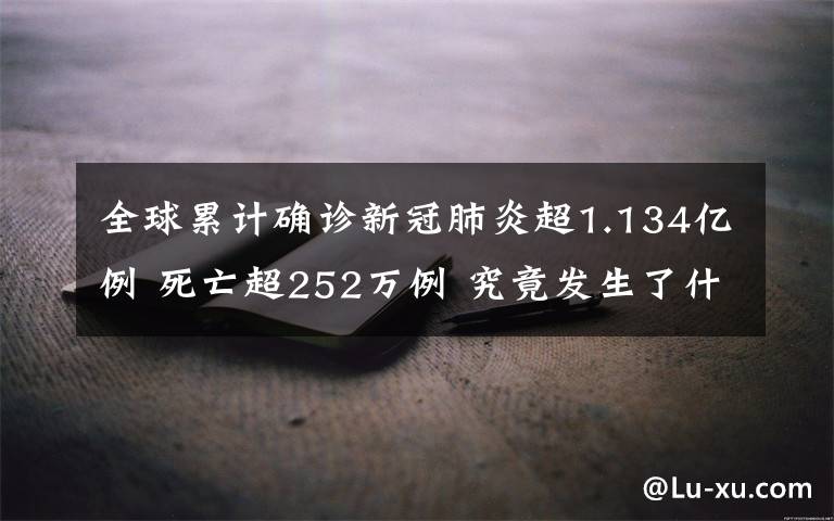 全球累計(jì)確診新冠肺炎超1.134億例 死亡超252萬例 究竟發(fā)生了什么?