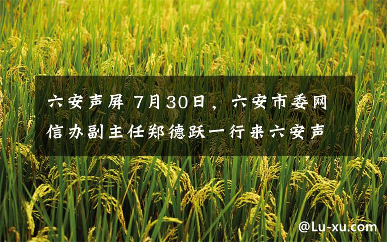 六安聲屏 7月30日，六安市委網(wǎng)信辦副主任鄭德躍一行來六安聲屏網(wǎng)進行網(wǎng)絡安全和信息化檢查工作