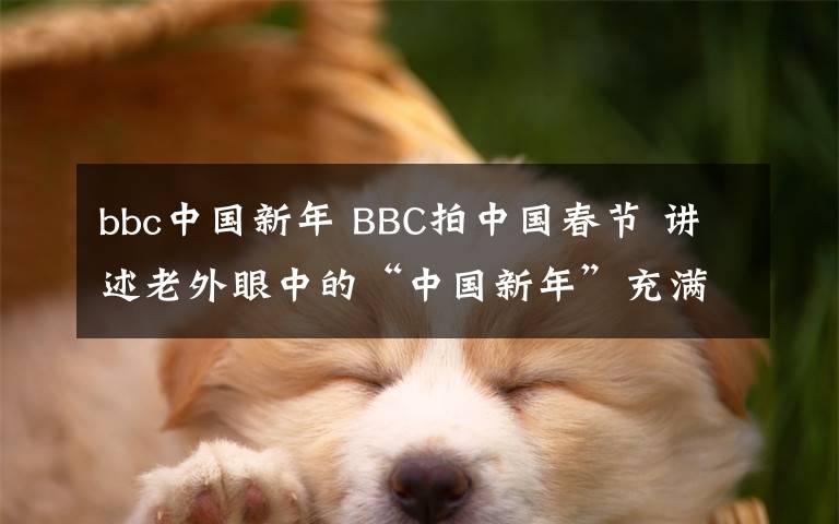 bbc中國新年 BBC拍中國春節(jié) 講述老外眼中的“中國新年”充滿人情味兒