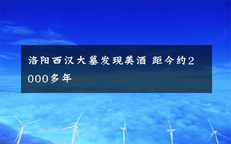 洛陽西漢大墓發(fā)現(xiàn)美酒 距今約2000多年