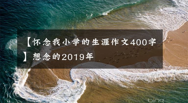 【懷念我小學(xué)的生涯作文400字】想念的2019年