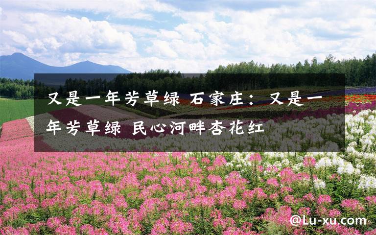 又是一年芳草綠 石家莊：又是一年芳草綠 民心河畔杏花紅