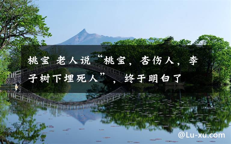 桃寶 老人說“桃寶，杏傷人，李子樹下埋死人”，終于明白了