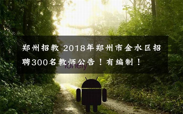 鄭州招教 2018年鄭州市金水區(qū)招聘300名教師公告！有編制！