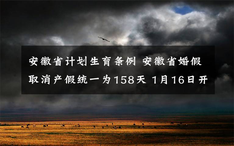 安徽省計劃生育條例 安徽省婚假取消產(chǎn)假統(tǒng)一為158天 1月16日開始實施