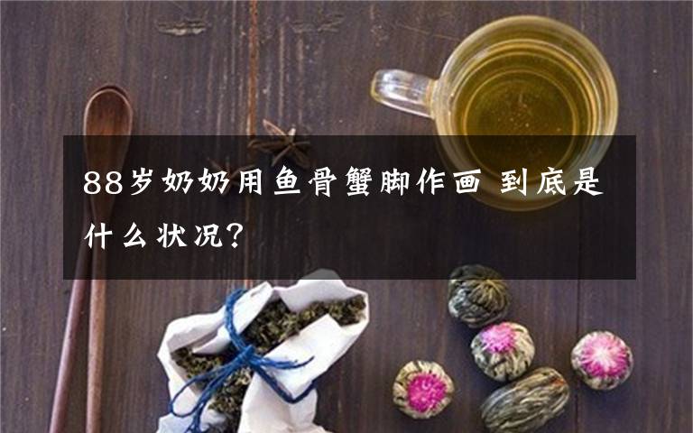 88歲奶奶用魚骨蟹腳作畫 到底是什么狀況？