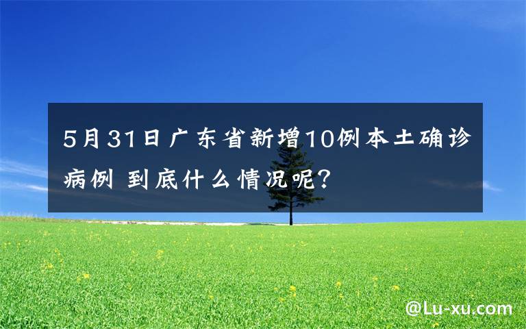 5月31日廣東省新增10例本土確診病例 到底什么情況呢？