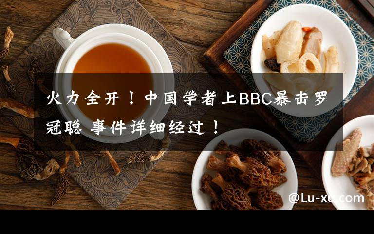 火力全開！中國學者上BBC暴擊羅冠聰 事件詳細經過！