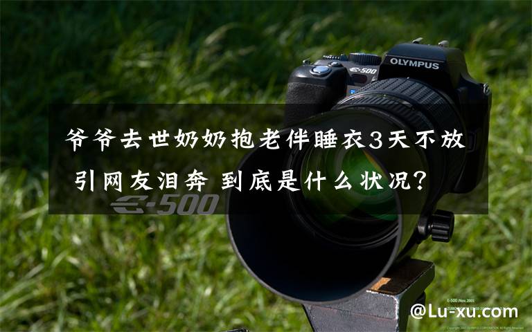 爺爺去世奶奶抱老伴睡衣3天不放 引網(wǎng)友淚奔 到底是什么狀況？