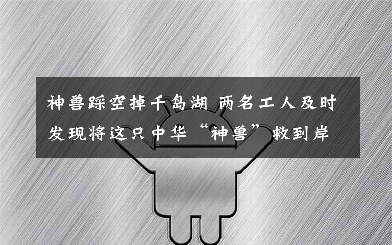 神獸踩空掉千島湖 兩名工人及時發(fā)現(xiàn)將這只中華“神獸”救到岸上