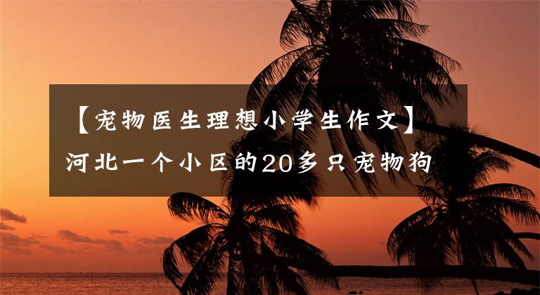 【寵物醫(yī)生理想小學(xué)生作文】河北一個(gè)小區(qū)的20多只寵物狗蹊蹺地死去后，警察：正在調(diào)查中。