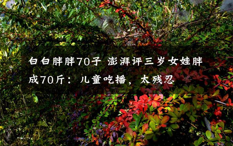 白白胖胖70子 澎湃評(píng)三歲女娃胖成70斤：兒童吃播，太殘忍