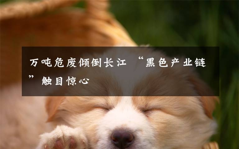 萬(wàn)噸危廢傾倒長(zhǎng)江 “黑色產(chǎn)業(yè)鏈”觸目驚心