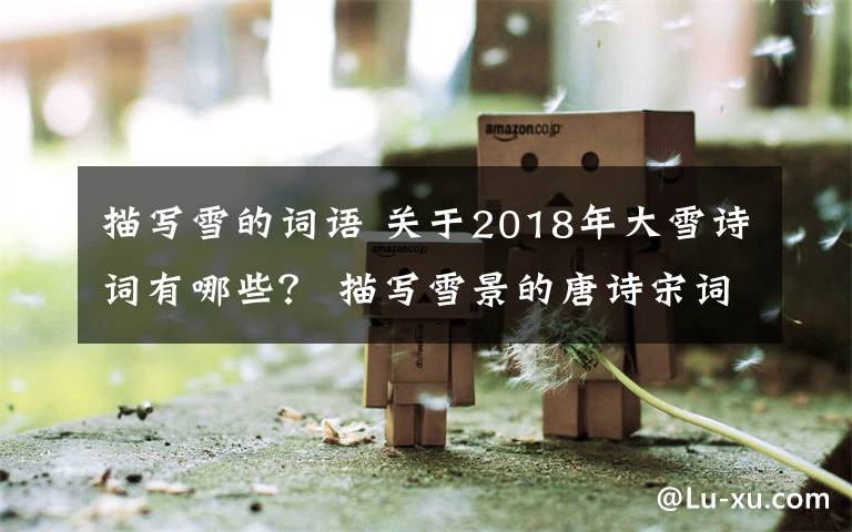 描寫雪的詞語 關于2018年大雪詩詞有哪些？ 描寫雪景的唐詩宋詞大全