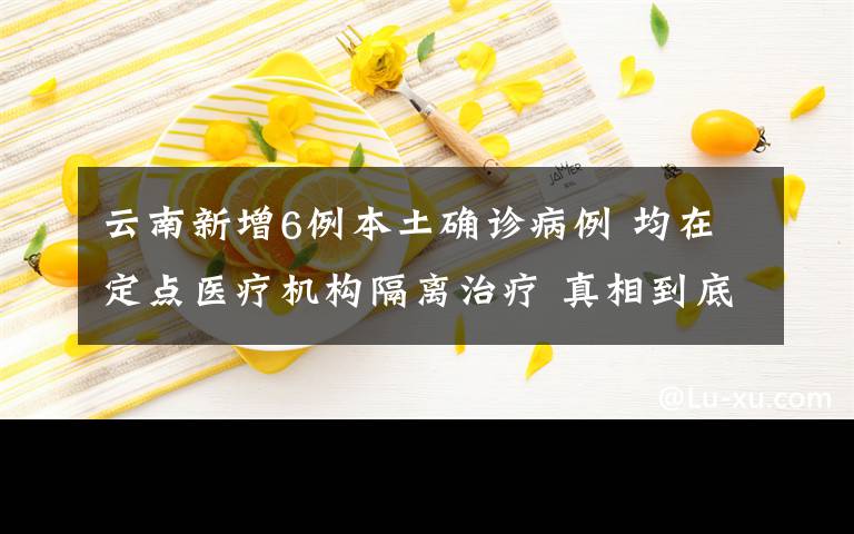 云南新增6例本土確診病例 均在定點(diǎn)醫(yī)療機(jī)構(gòu)隔離治療 真相到底是怎樣的？