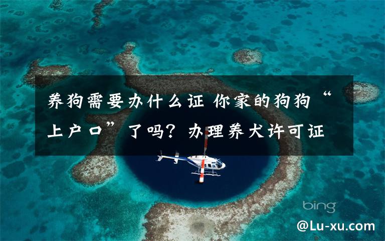 養(yǎng)狗需要辦什么證 你家的狗狗“上戶口”了嗎？辦理養(yǎng)犬許可證的不到十分之一