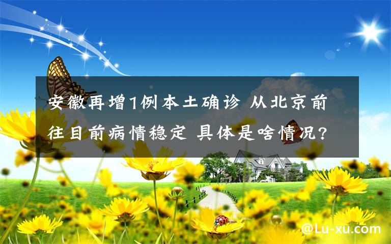 安徽再增1例本土確診 從北京前往目前病情穩(wěn)定 具體是啥情況?