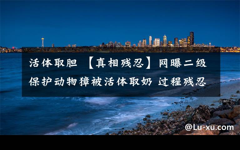 活體取膽 【真相殘忍】網(wǎng)曝二級(jí)保護(hù)動(dòng)物獐被活體取奶 過程殘忍程度超過"活熊取膽"