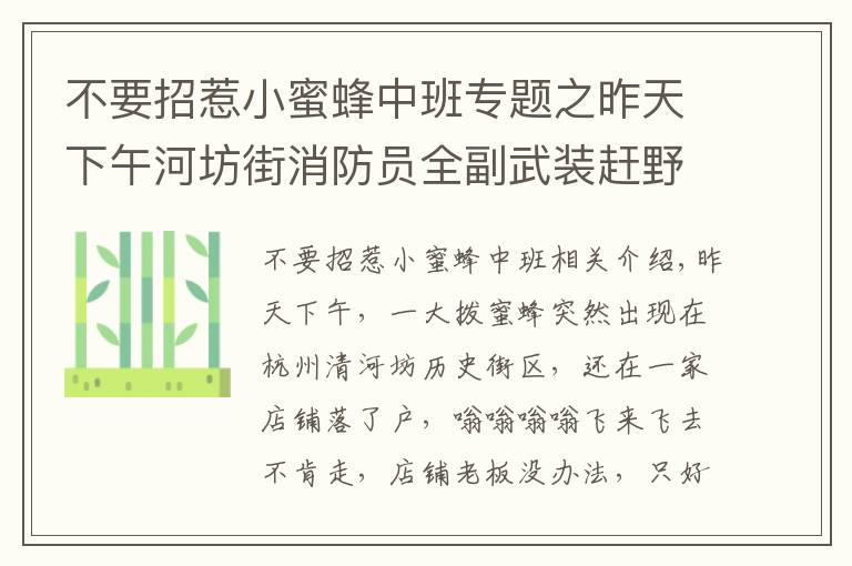 不要招惹小蜜蜂中班專題之昨天下午河坊街消防員全副武裝趕野蜂！馬上就是它們的活躍期，如果發(fā)現(xiàn)記得打這個電話