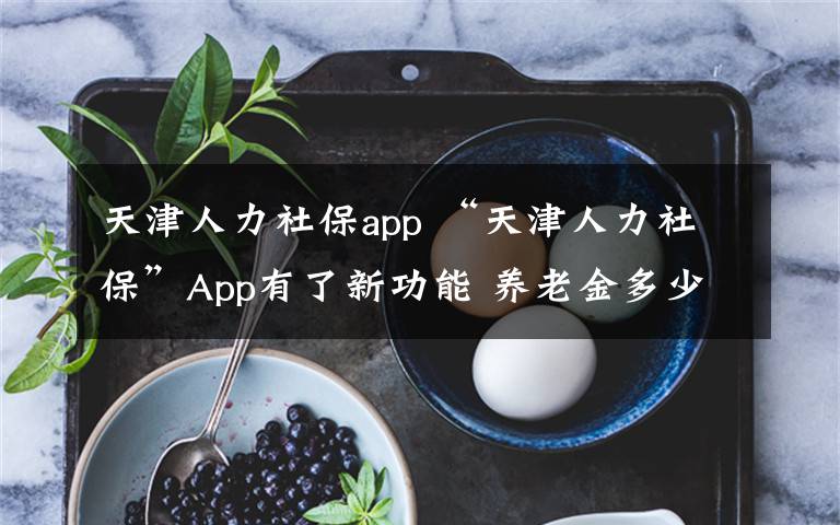 天津人力社保app “天津人力社保”App有了新功能 養(yǎng)老金多少一鍵可測算