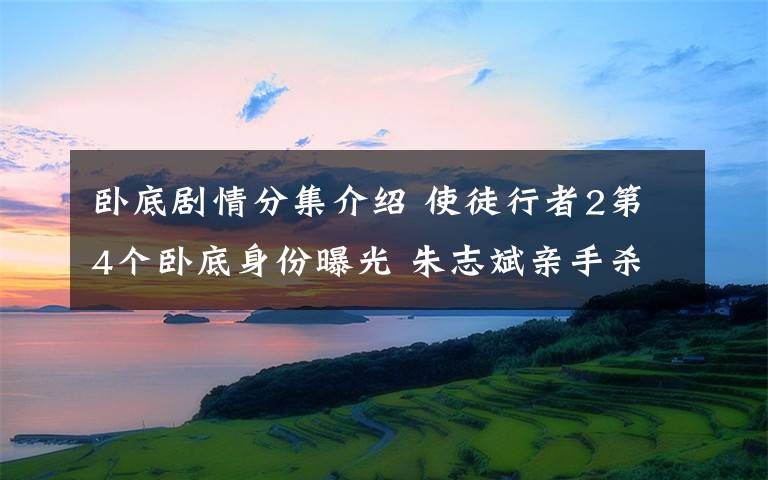 臥底劇情分集介紹 使徒行者2第4個臥底身份曝光 朱志斌親手殺了女友附分集劇情介紹